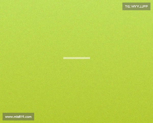 足球球员续约合同管理方案及风险控制策略研究