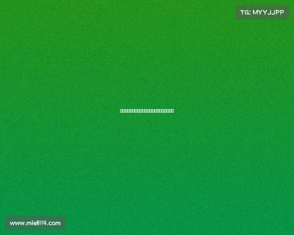 维萨预计将于周二回归布伦特福德训练并恢复备战